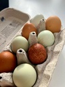 Farm Fresh Eggs