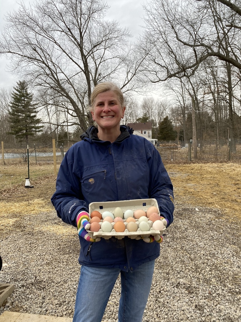 Farm Fresh Eggs